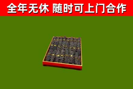 霍尔果斯回收海参